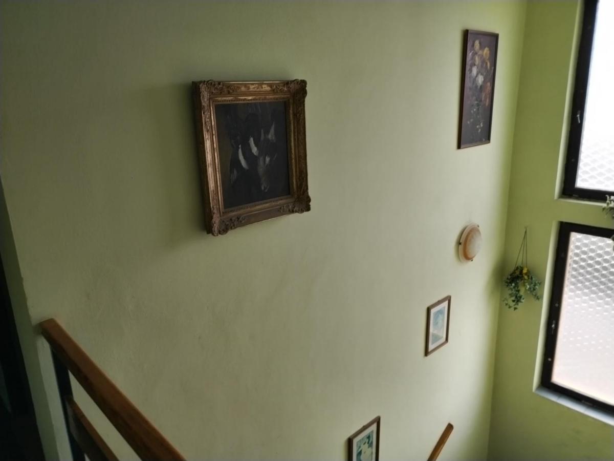 Pension Sparta Praha Bagian luar foto